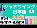 【中上級】話す練習 シャドウイング日本語 #54 多すぎる選択