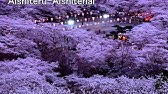 愛してる愛してない 坂本龍一 Youtube