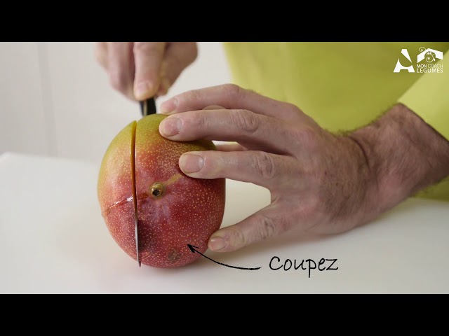 Technique de la mangue chinoise