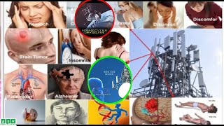 Khatarta Caafimaad Ee Taawarada Dalka Warbixin Qotodheer Iyo Dhakhaatiir Kahadashay Halistaasi