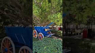 Дорога До Пляжа Отеля Selectim Family Resort Side 5