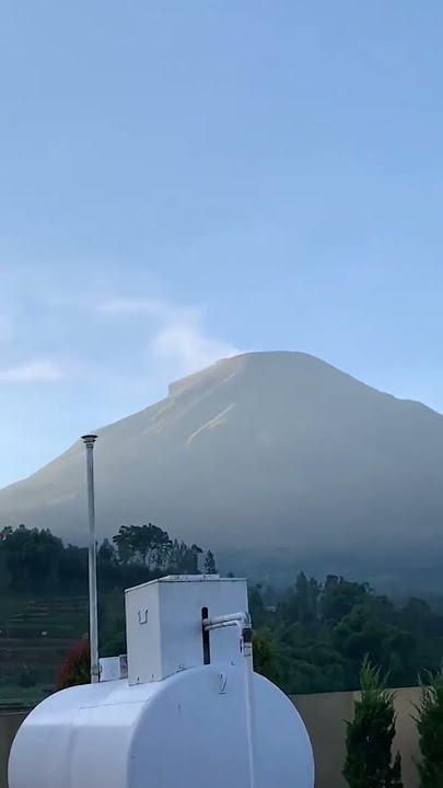 story wa ninja ss