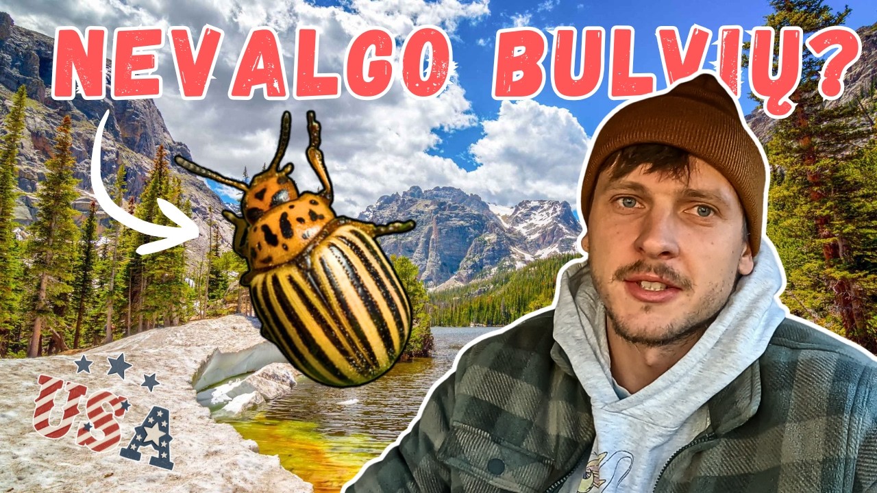 Kolorado vabalai, nacionalinis parkas ir dušo paieškos