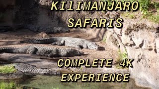 Kilimanjaro Safaris Disney's Animal Kingdom Complete 4K Ride Experience 2020 Walt Disney World