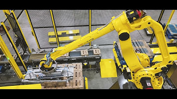 Robotic Case Palletizer