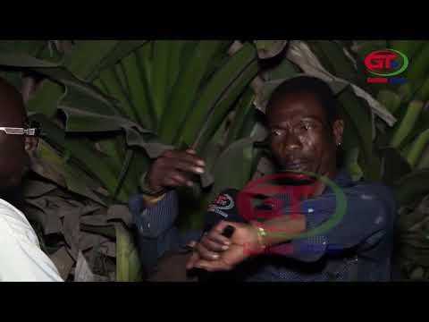 𝐒𝐄𝐍𝐄𝐆𝐀𝐌𝐁𝐈𝐀 𝐍𝐈𝐆𝐇𝐓 𝐋𝐈𝐅𝐄 𝟐𝟑 𝟏𝟏 𝟐𝟎𝟐𝟓