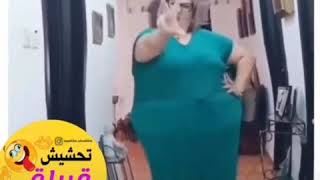 دجاج بكد بقرة