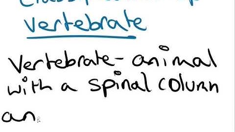 Classification - Biology Topic 1 GCSE edexcel