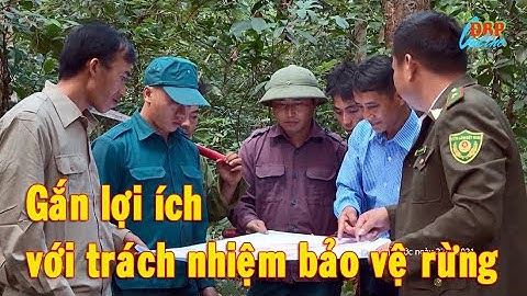 Gắn lợi ích với trách nhiệm bảo vệ rừng