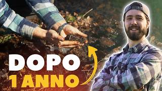 Download Lagu 3 TECNICHE per Rigenerare un Terreno Povero (in 1 anno) MP3