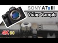 Sony A7s iii | Samyang 35mm,  f1.8 | 4K 60 Video Test | @SonyAlphaUniverse ​