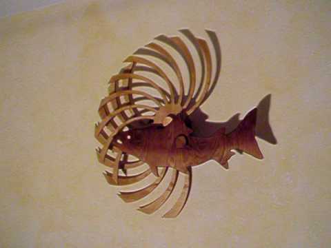 Chesx - Nick Diemel.Kinetic Art Sculpture. "Salmon...