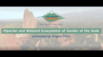 Riparian and Wetland Ecosystems