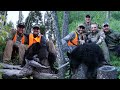 TAGGED OUT ON 2 BEARS IN MONTANA!