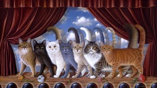 ПОЮЩИЕ КОТЫ - МАЙЯ ХИ, МАЙЯ ХУ... ПОЮЩИЕ КОТЫ - МАЙЯ ХИ, МАЙЯ ХУ...