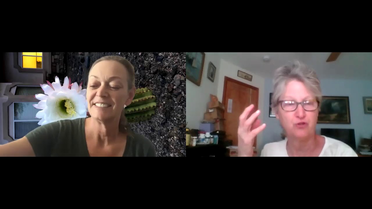 Mastermind discussion on the book Sapiens by Yuval Noah Harari