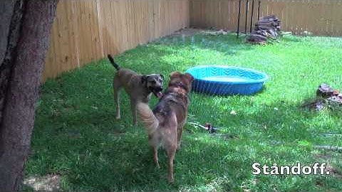 Resource Guarding in Slow Motion