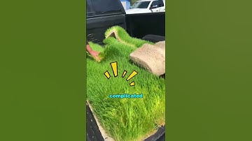 The inventor of hydroponics was a genius