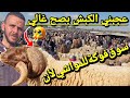 جولة بسوق فوكة ولاية تيبازة للبحث عن كبش عيد الاضحى 2026 شوفو واش لقيت سوق المواشي اليوم العلوش