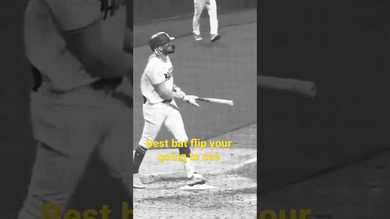 Best bat flip