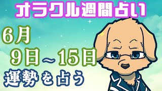 【週間占い】9日～15日の運勢を占います！/ オラクルカード第103回【Vtuber/星戌セン/#vtuber #オラクルカード #占い】
