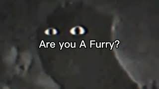 Anti Furry Memes 2