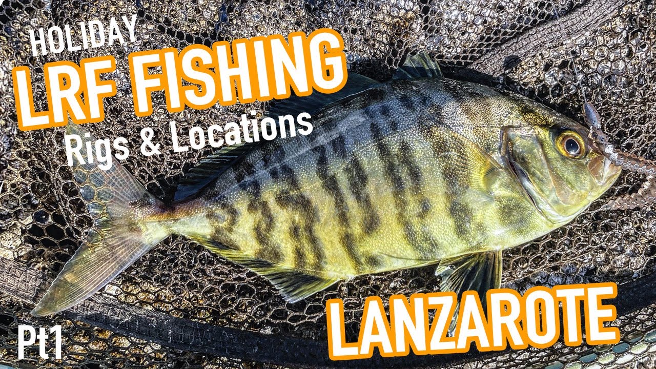 Lanzarote LRF Species Fishing Guide Part 1