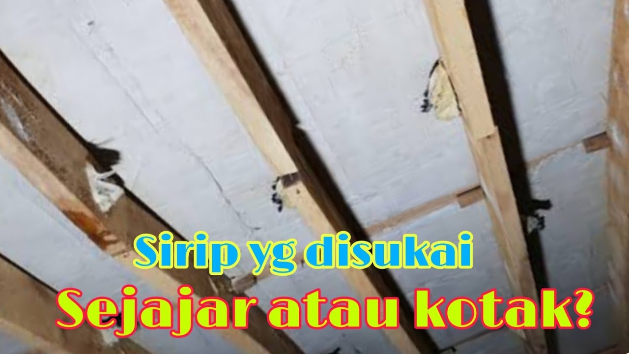 Rahasia sirip  kayu  rumah walet  yang disukai burung YouTube