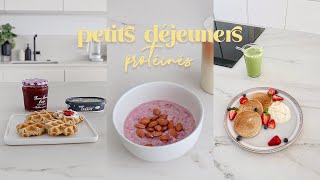 Petits Déjeuners Vegan Protéinés Comment Utiliser Les Protéines En Poudre Alice Esmeralda