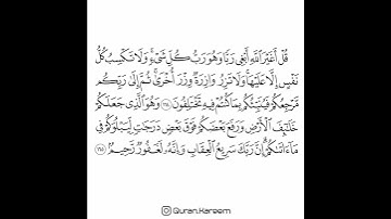 القارئ سعد الغامدي - سورة الأنعام - من الآية 164 إلى الآية 165