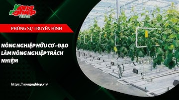 Nông nghiệp hữu cơ - xu thế tất yếu