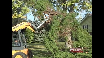 EDGE Tree Puller - Grabbing Tool Removes Invasive and Overgrown Bushes and More