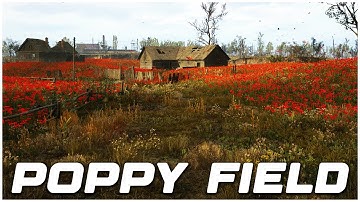 Stalker 2: Hoe je het legendarische artefact in het klaprozenveld krijgt (vreemde bloem)