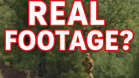 BIGFOOT CAUGHT ON CAMERA on the Colorado River – Real Footage by River Guides