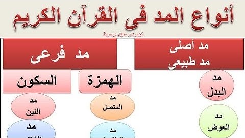 تبسيط احكام التجويد | احكام المد 1