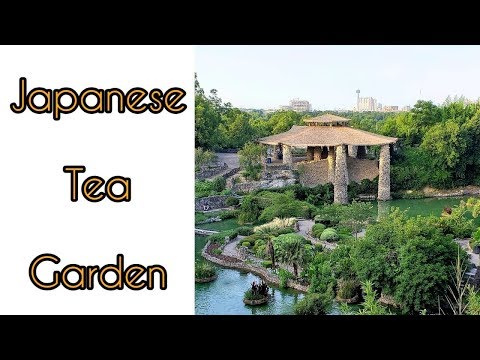 Vídeo: O que é o jardim de chá japonês san antonio?