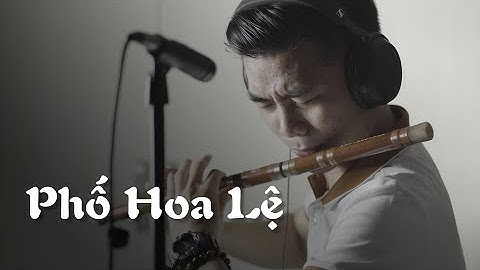 PHỐ HOA LỆ Dizi Cover