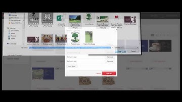 Scala Enterprise Content Manager - Uploading Media