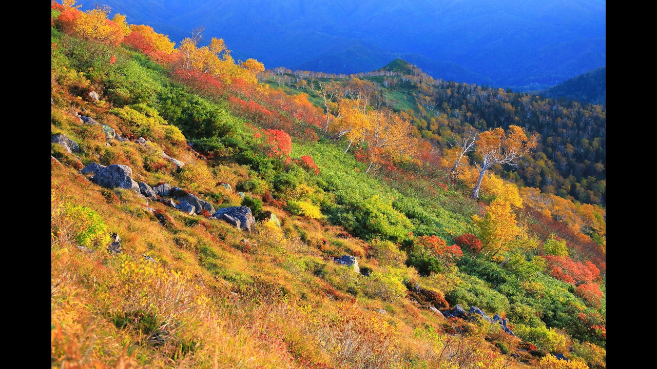 Photographing the earliest autumn foliage in Japan & announcement