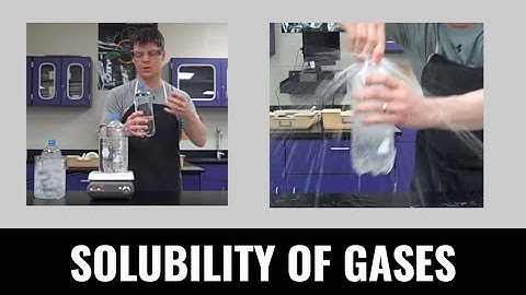 🌡️How Temperature Affects Gas Solubility - A Science Experiment with Mr Pauller