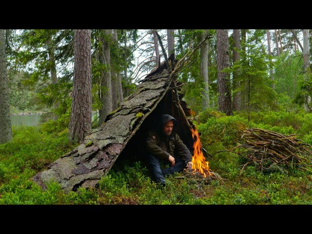 Where Should You Establish Shelter: Wilderness Survival Tips