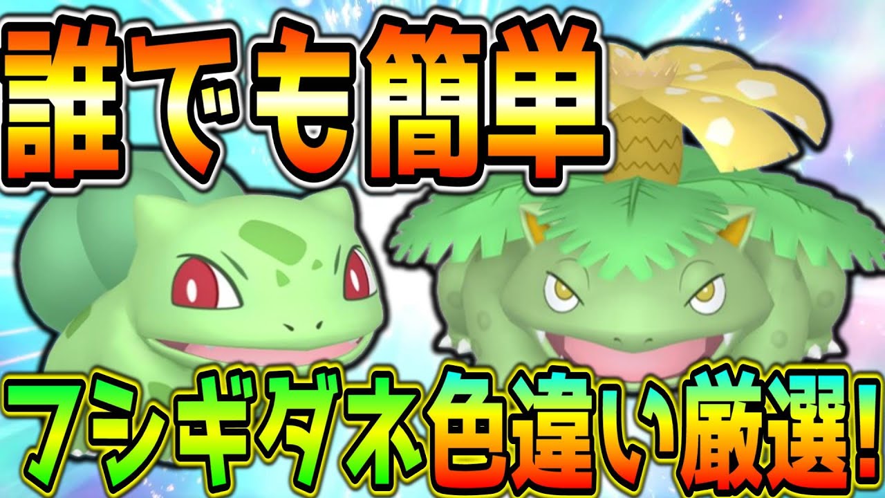 ポケモンキッズ フシギダネ 色違い ポケモンキッズ 30周年スペシャル vol.1編 [3.フシギダネ],バンダイ 食