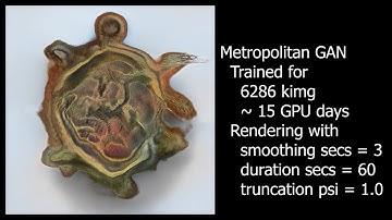 Stylegan2 Metropolitan Latent Space Walk | Guided Hallucination - ASMR