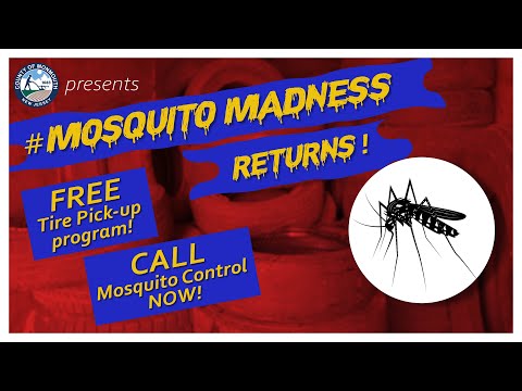 #MosquitoMadness Returns! (2021)