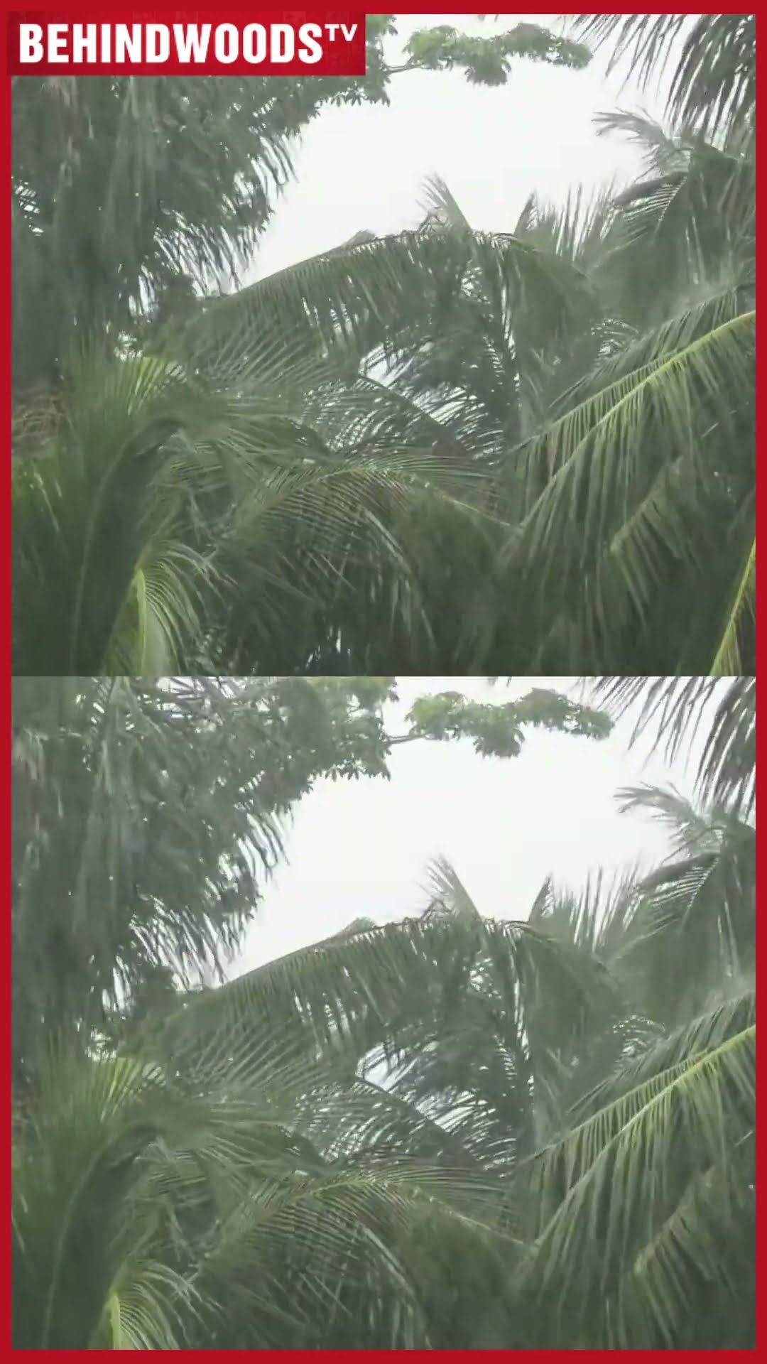 Chennai-ல ஆட்டத்தை ஆரம்பித்த வருண பாகவான் ? அடுத்த 3 நாளில் என்ன ?