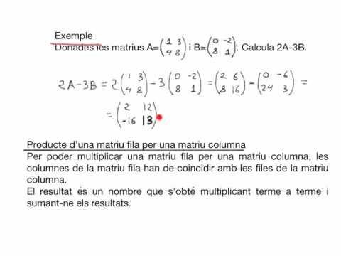 Vídeo: Quan són les matrius invertibles?