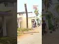 anbu tree cutting work#treecutting#tree#work#skills