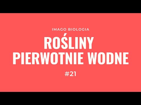 Rośliny pierwotnie wodne