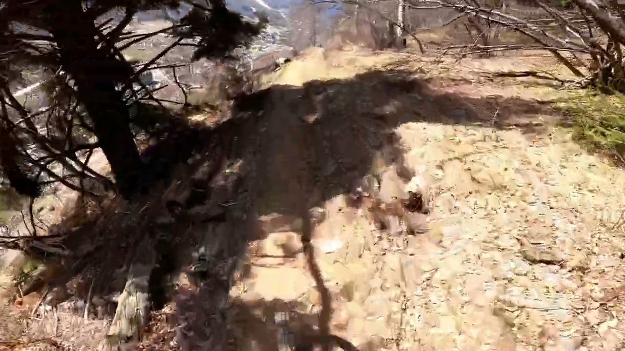 mtb Aprica - Valentina trail (one shot) #allmountain #enduro #mtb