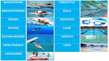 10.2 Từ vựng tiếng Anh về môn Bơi lội - Từ vựng tiếng Anh về chủ đề Thể thao